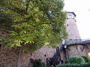 Michelstadt - Burg Michelstadt -Teil der Stadtmauer