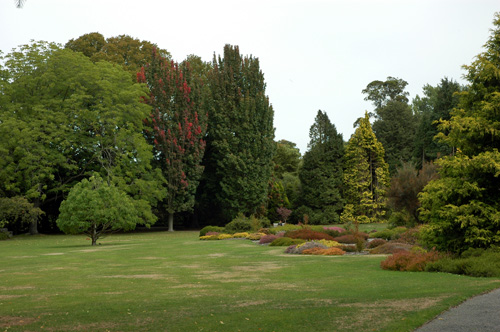 Neuseeland - Südinsel - Christchurch - Garden City -Botanischer Garten