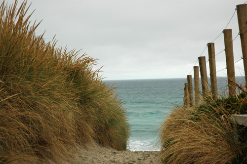 Neuseeland - Südinsel - Dunedin - Strand