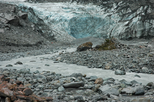 Neuseeland - Südinsel - Fox Glacier