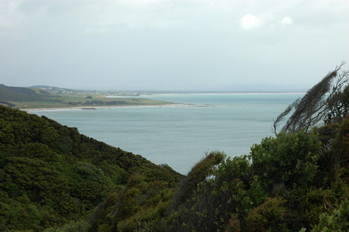 Neuseeland - Südinsel - Kaka point