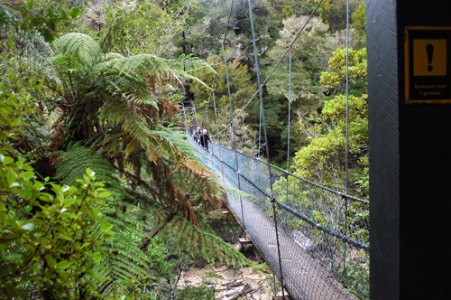 Neuseeland - Südinsel - Abel Tasman National  Park -Hängebrücke