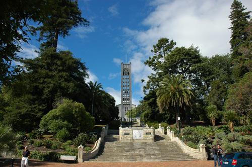 Neuseeland - Südinsel - Nelson - Curch Hill