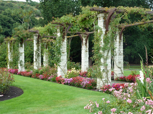 Neuseeland - Südinsel - Oamaru - Public Gardens - Rosengarten