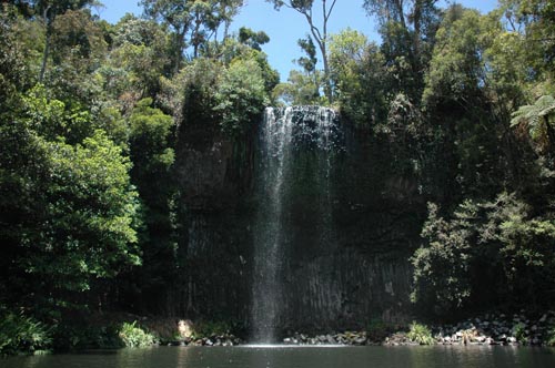 North Queensland - Atherton Tablelands -Millaa Millaa Falls