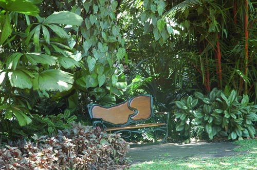 North Queensland - Cairns - Botanischer Garten