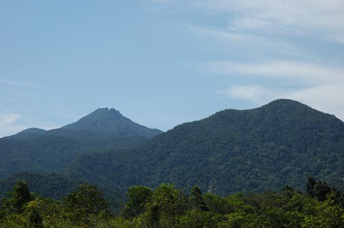 North Queensland - Daintree Nationalpark