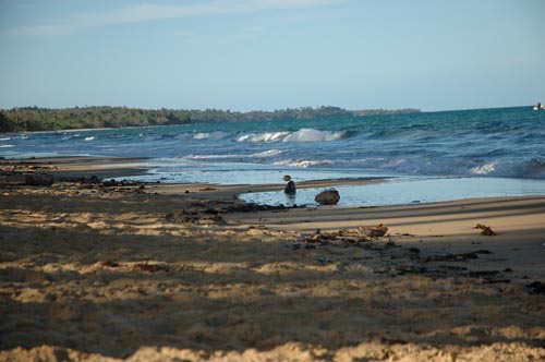 North Queensland - Mission Beach - Strand Impressionen