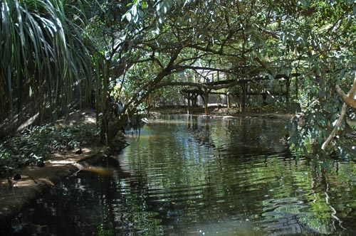North Queensland - Port Douglas - Tierpark