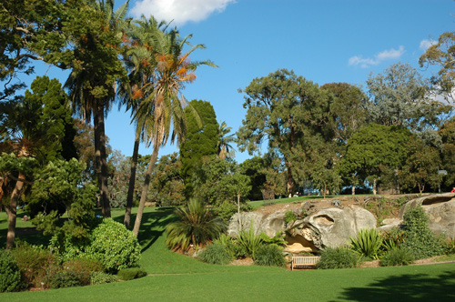 Sydey - Royal Botanic Gardens
