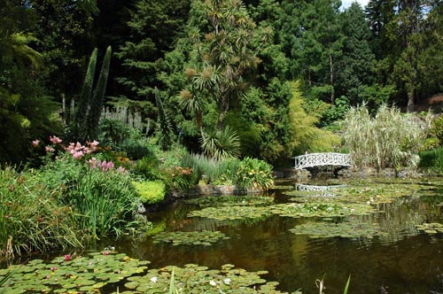 South Tasmania - Hobart - Botanischer Garten