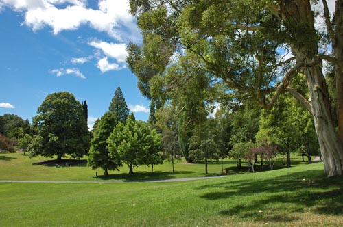 South Tasmania - Hobart - Botanischer Garten