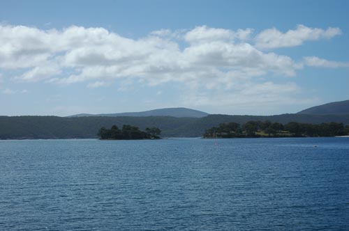 South Tasmania -  Tasman Peninsula - Port Arthur - Gelände