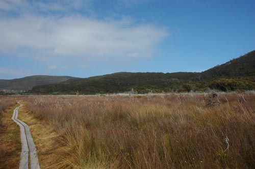 South Tasmania - Bushwalk Southwest Cape 