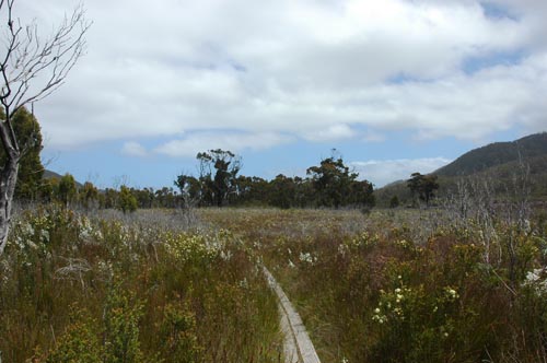 South Tasmania - Bushwalk zum Southwest Cape