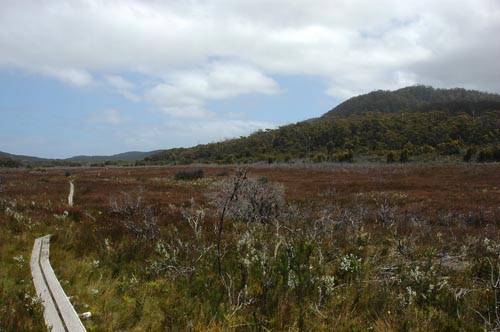South Tasmania - Bushwalk zum Southwest Cape