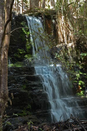 South Tasmania - Tasman Peninsula - Waterfall Bluff