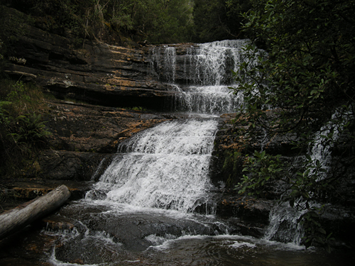 Mount Field National Park - Lady Barron Falls