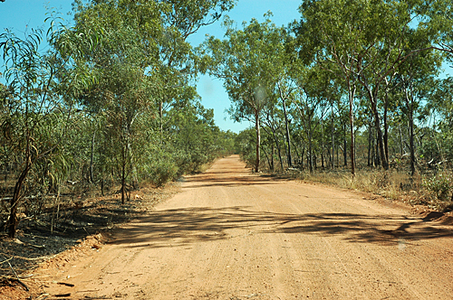 dirt road - kakadu nationalpark